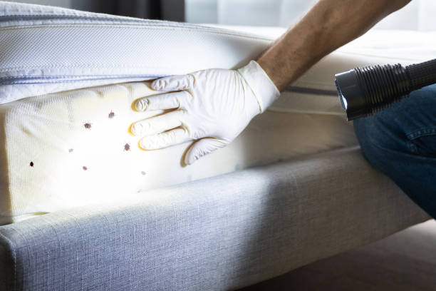 Best Residential Pest Control  in Land O Lakes, FL