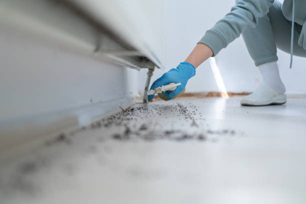Trusted Land O Lakes, FL Pest Control Experts