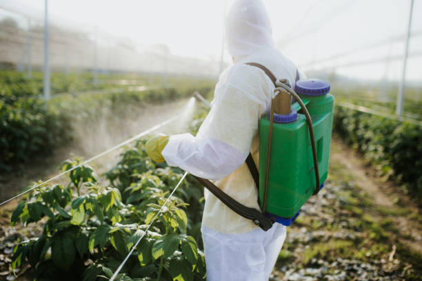 Best Wasp Removal Services  in Land O Lakes, FL